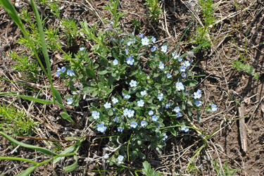 Similar image 847628