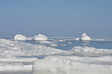 Similar image 847633