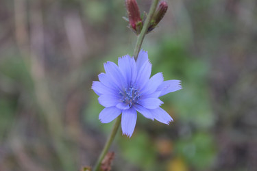 Similar image 847865