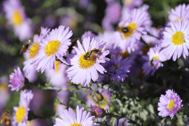 Similar image 847873