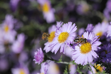 Similar image 847874