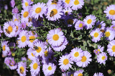 Similar image 847876