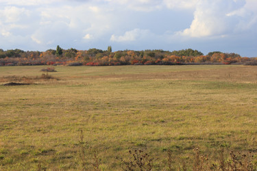 Similar image 847933