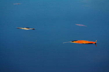 Similar image 847984