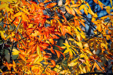 Similar image 848019