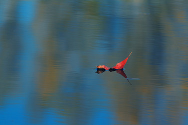 Similar image 848020