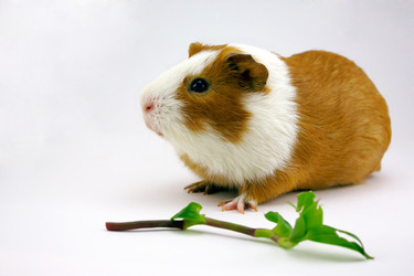 Similar image 848049