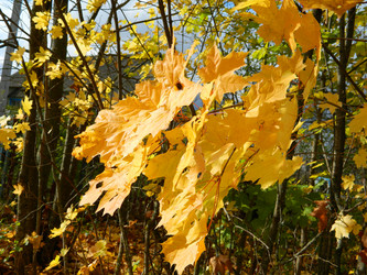 Similar image 848070