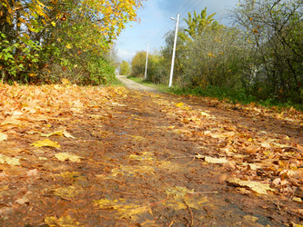 Similar image 848073