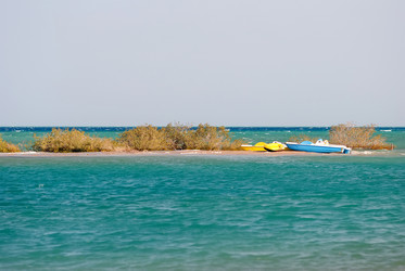 Similar image 848113