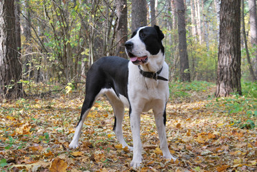 Similar image 848280