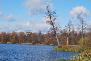 Similar image 848322