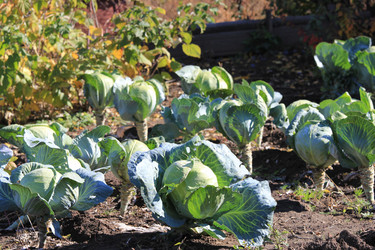 Similar image 848341