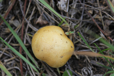 Similar image 848355