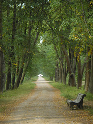 Similar image 848379