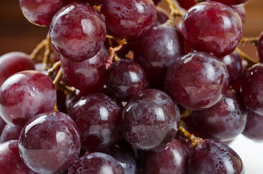 Similar image 848496