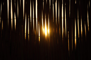 Similar image 848502