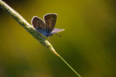 Similar image 848517