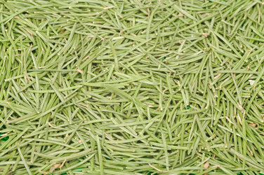 Similar image 848519