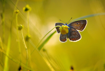 Similar image 848518