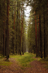 Similar image 848522