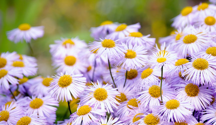 Similar image 848532