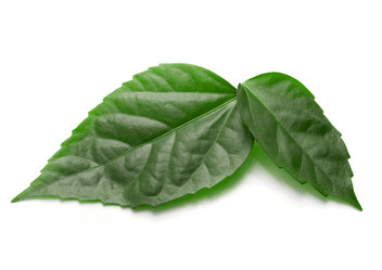 Similar image 848591