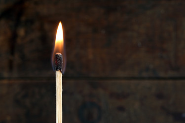 Similar image 848609