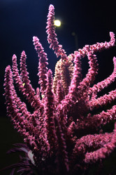 Similar image 848670