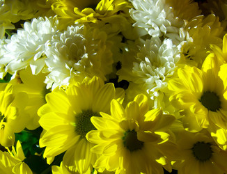 Similar image 848691