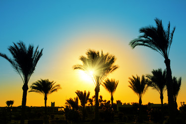 Similar image 848692