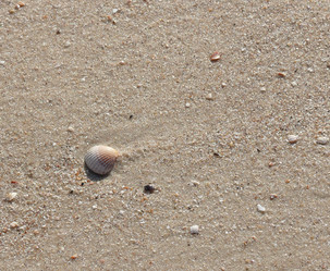 Similar image 848699