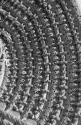 Similar image 848718