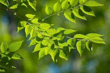 Similar image 848730