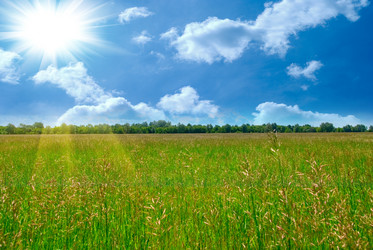 Similar image 848801