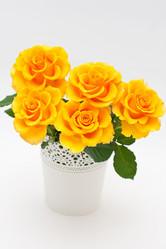 Similar image 848852