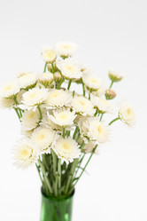 Similar image 848862