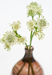 Similar image 848896