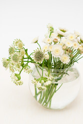 Similar image 848906