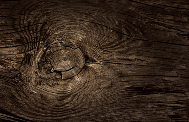 Similar image 848998