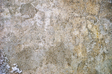 Similar image 849007