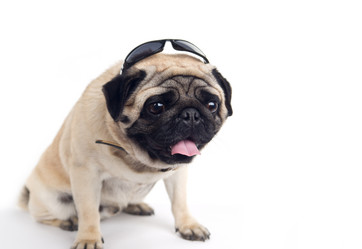 Similar image 849044