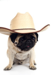 Similar image 849045