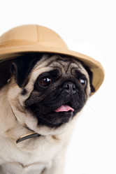 Similar image 849048