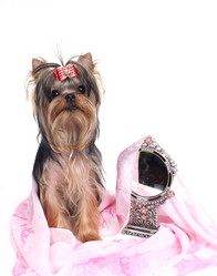 Similar image 849049