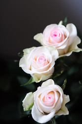 Similar image 849118