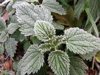 Similar image 849182