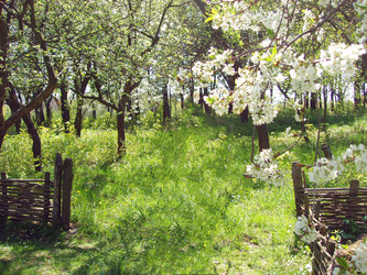 Similar image 849571