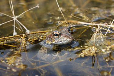 Similar image 850112