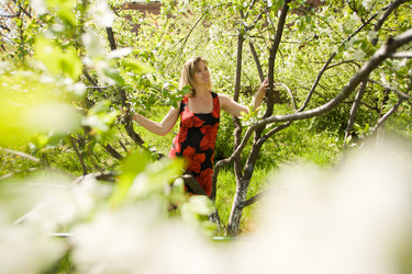 Similar image 850648